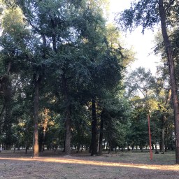 Neden Çalışmak İstemiyoruz ? – En Geçerli 3 Sebep !