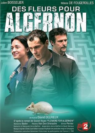 des_fleurs_pour_algernon_