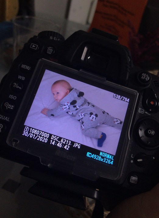 D5288B5A-1E7E-448B-B297-7F3E66C1B3CF